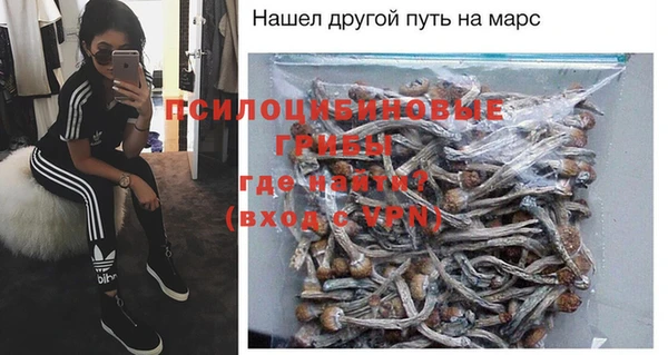 Альфа ПВП Бугульма
