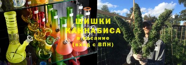 Альфа ПВП Бугульма