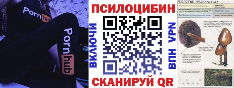 купить закладку  гидра tor  Псилоцибиновые грибы мухоморы  Белогорск 